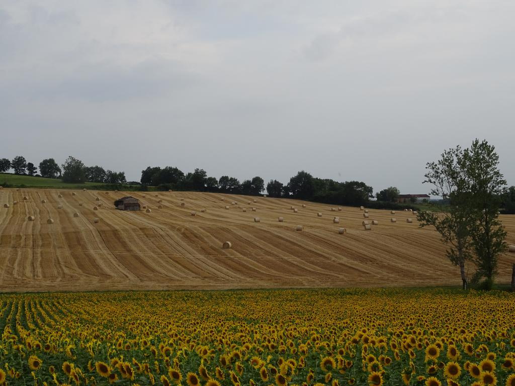 La Maison Des Cornieres Fourcès Eksteriør billede